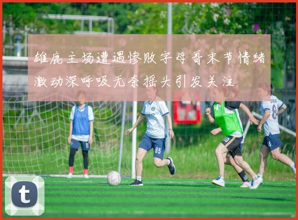 雄鹿主场遭遇惨败字母哥末节情绪激动深呼吸无奈摇头引发关注